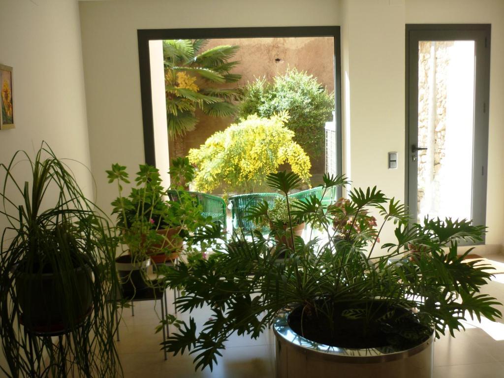 Posada Del Almudi داروكا الغرفة الصورة